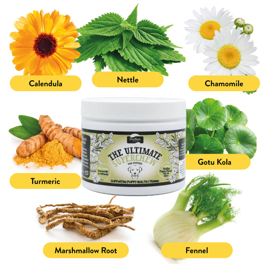 Soft Chews for Functional Support - Puppy