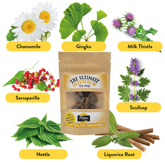 Soft Chews for Functional Support - Skin, Gut & Immune (Pocket Pack)