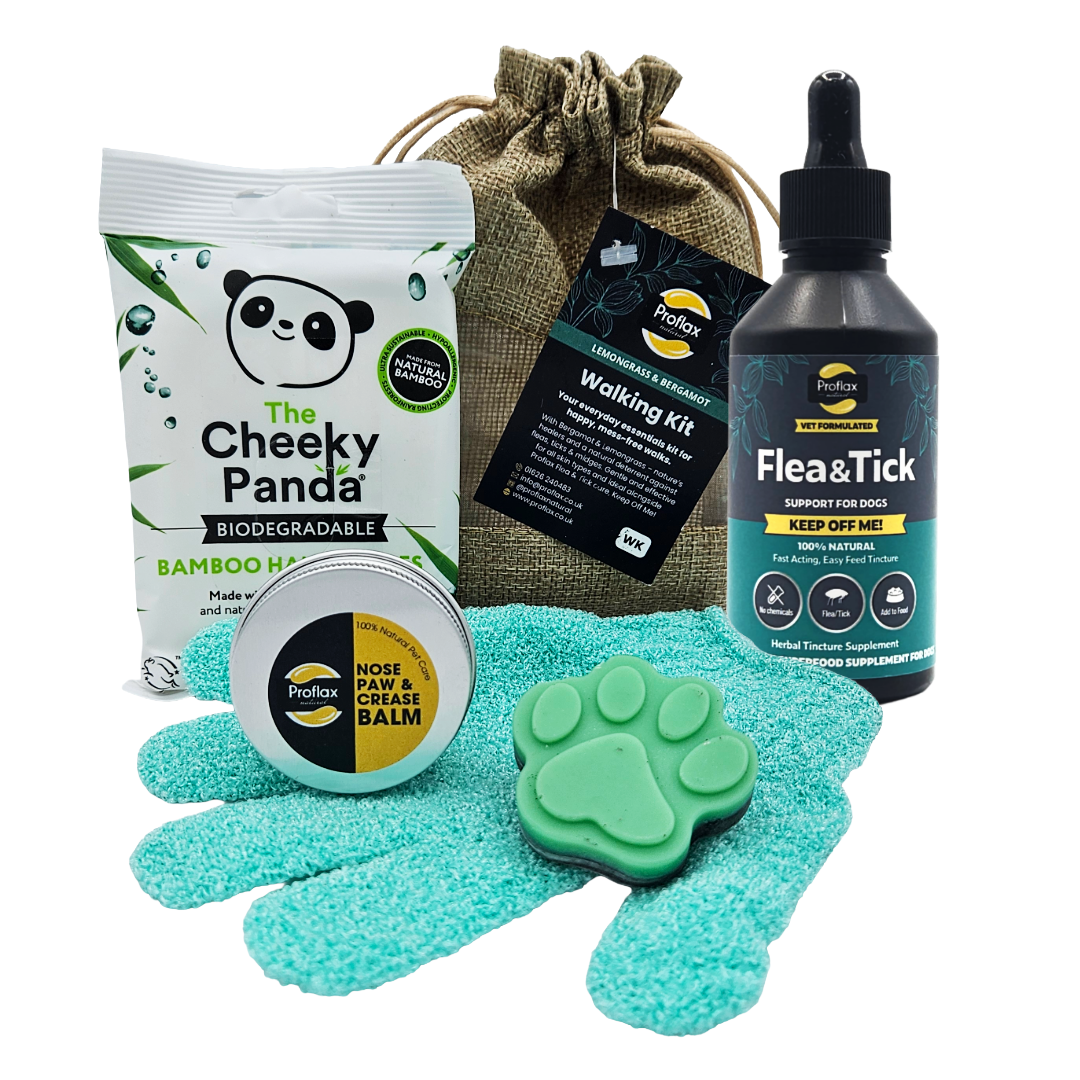 Summer Adventure Kit