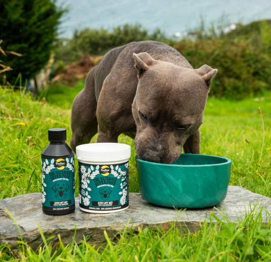 Natural Flea & Tick Defence for Dogs - Keep Off Me! Tincture - Proflax