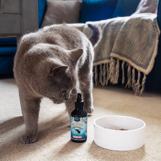 Salmon Oil Supplement for Cats - Feline Fine