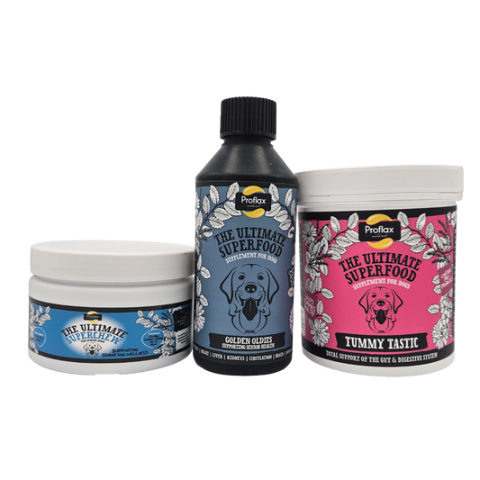 Targeted Wellness Bundle - Senior (Premium)