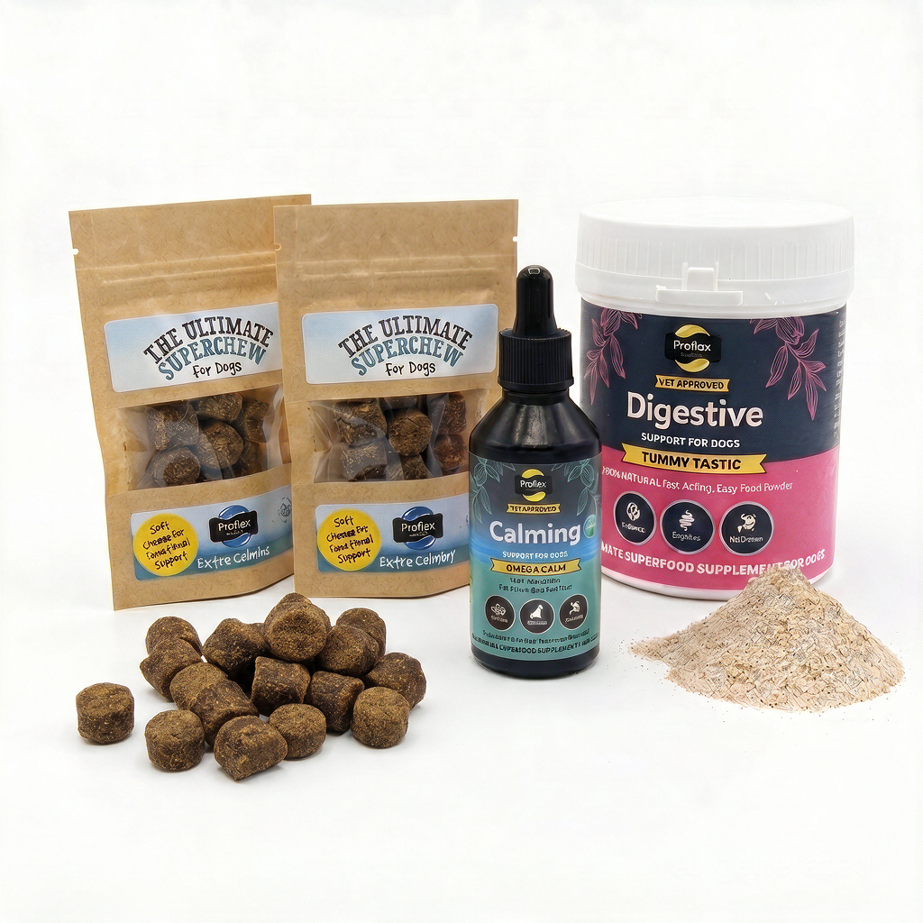 Dog Travel Essentials Bundle
