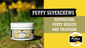 Soft Chews for Functional Support - Puppy