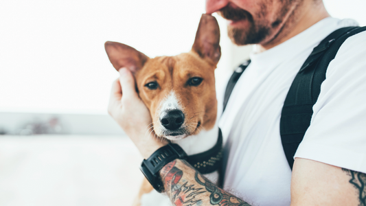 Hormone Balance for Male Dogs: Signs, Behaviour & Natural Support