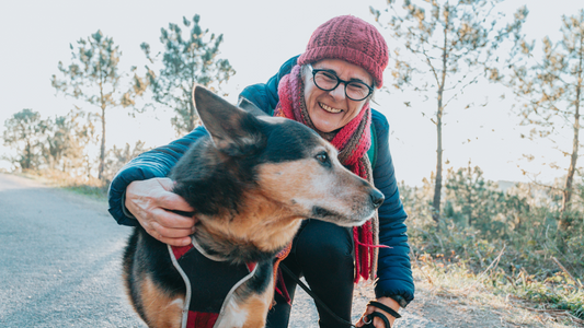 5 Simple Ways to Support Your Dog Between Christmas and New Year