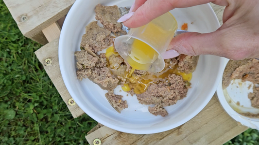 How Omega-3 Helps Dogs with Itchy Skin and Allergies