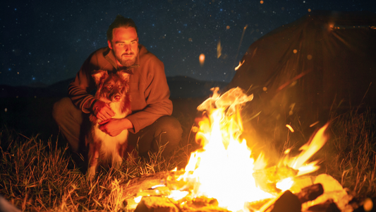 5 Tips to Keep Dogs Calm on Bonfire Night