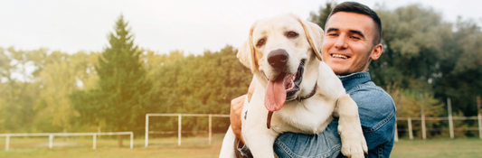 Chemical Flea and Tick Treatments: How They Work and Why You Should Rethink Them