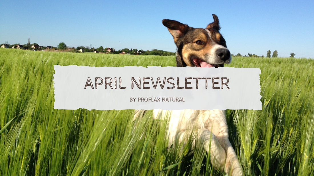 April Newsletter - Proflax