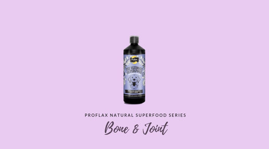 Benefits of Our Bone & Joint Supplement - Proflax