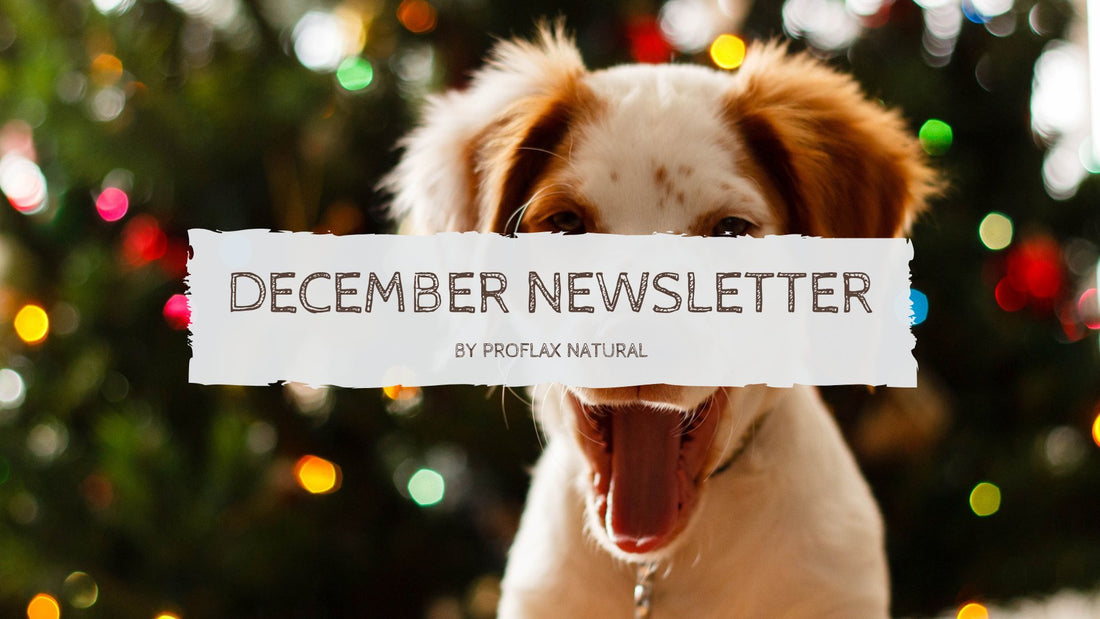 December Newsletter - Proflax