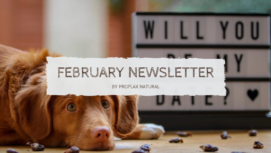 February Newsletter - Proflax