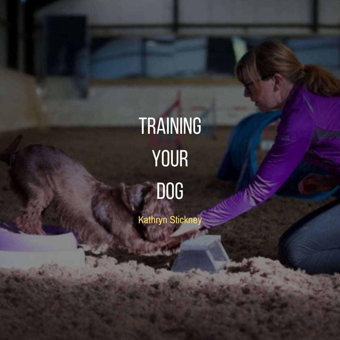 Guest Writer – Kathryn Stickney: Training Your Dog - Proflax