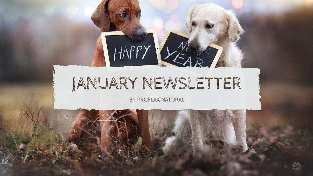 January Newsletter - Proflax