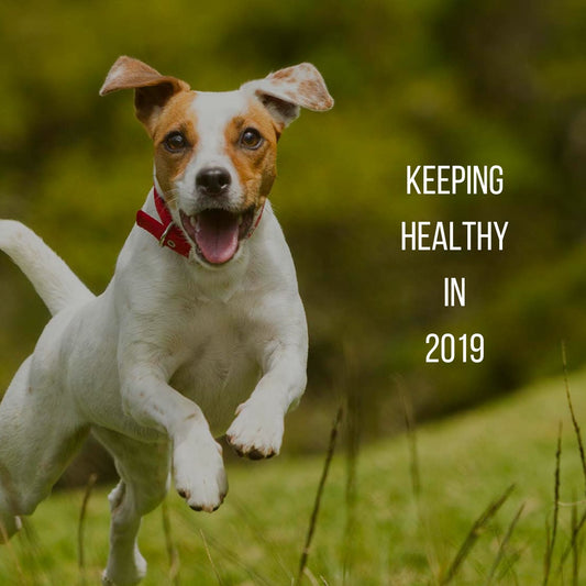 Keeping Healthy in 2019 - Proflax