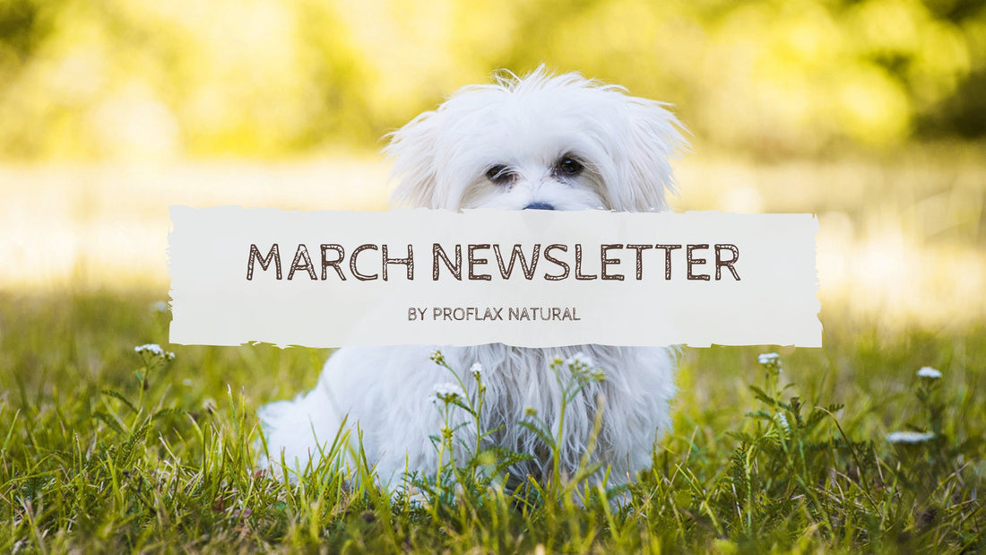 March Newsletter - Proflax