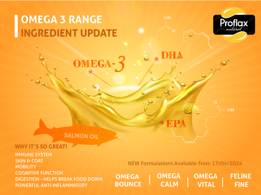 Ingredient Update: Proflax Omega 3 Range