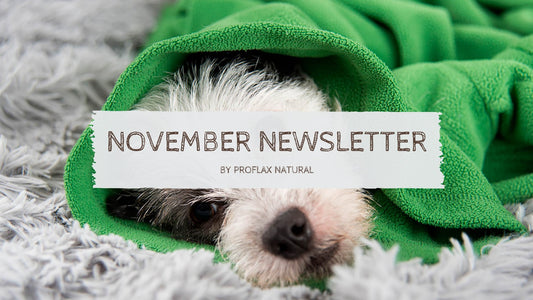 November Newsletter - Proflax