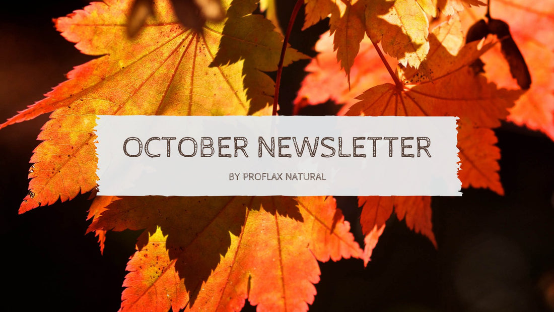 October Newsletter - Proflax