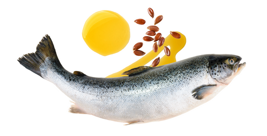 Fish Oil vs Flaxseed Oil for Dogs: What’s the Difference?