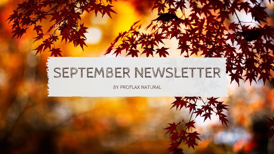 September Newsletter - Proflax