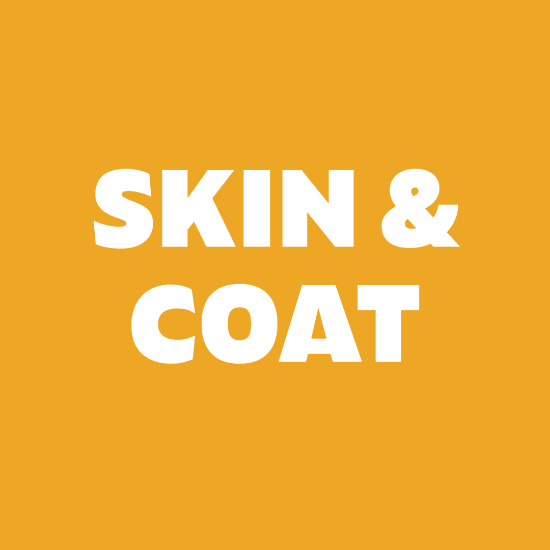 Skin and Coat Supplements for Dogs