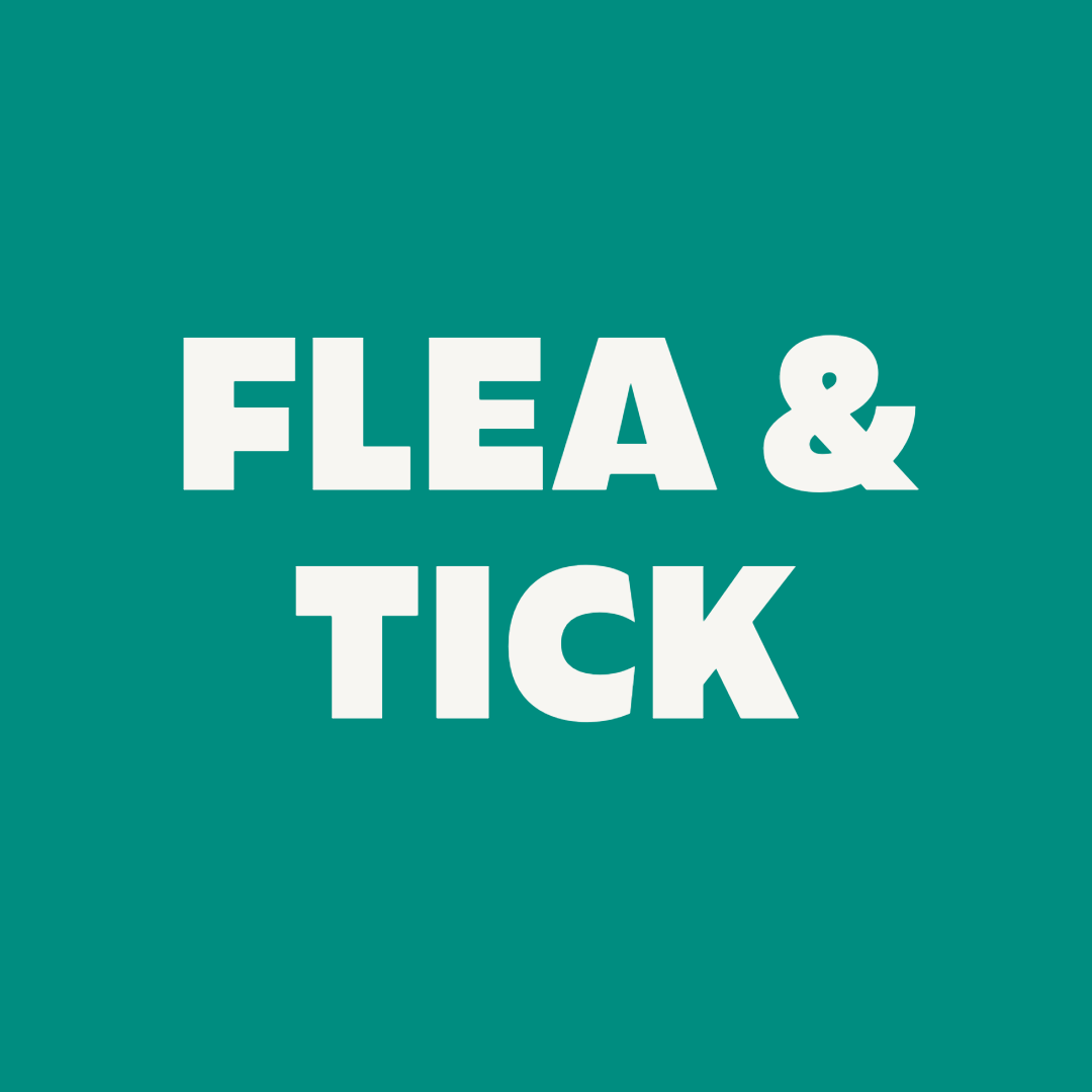 Natural Flea and Tick Defence