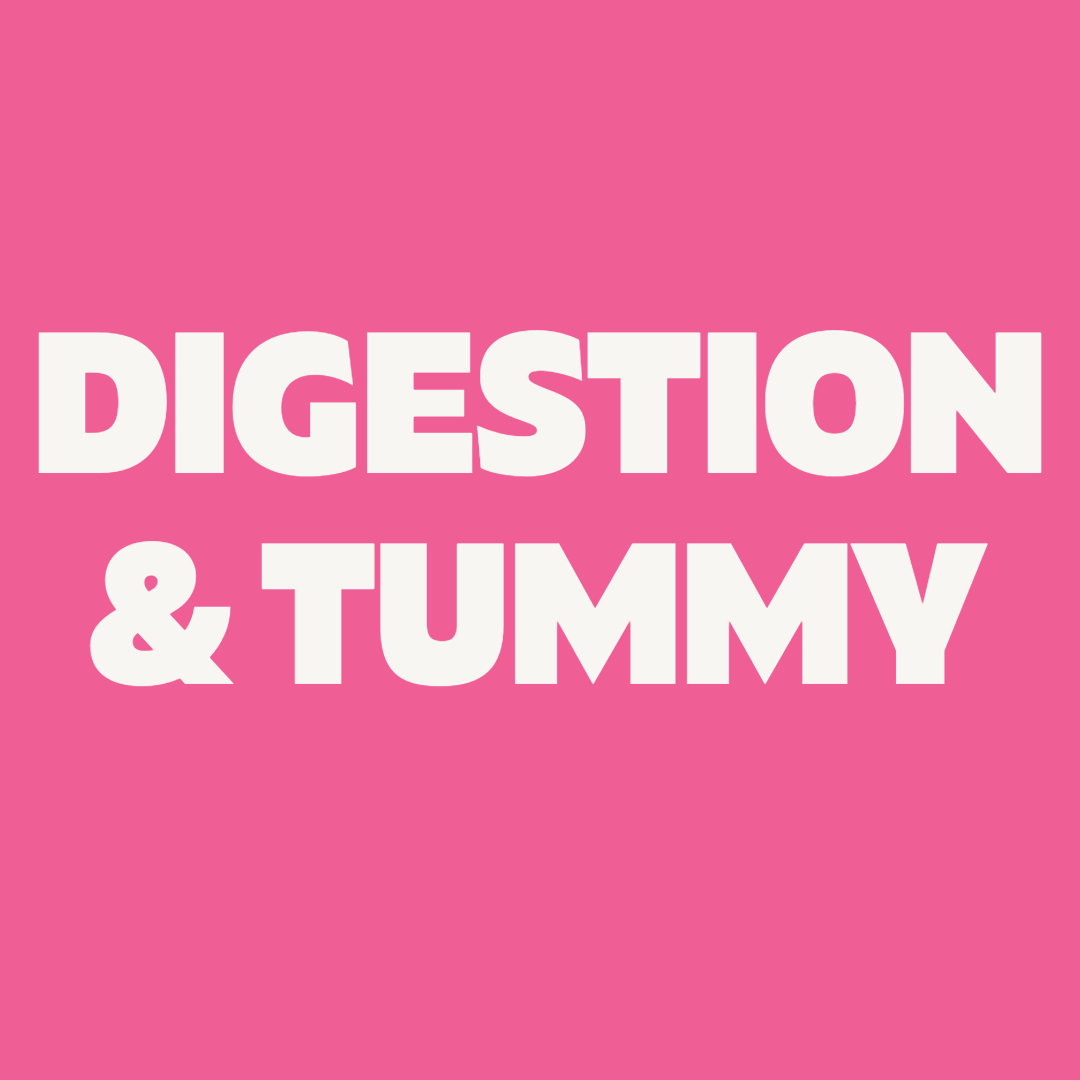 Dog Digetsion and Gut Health