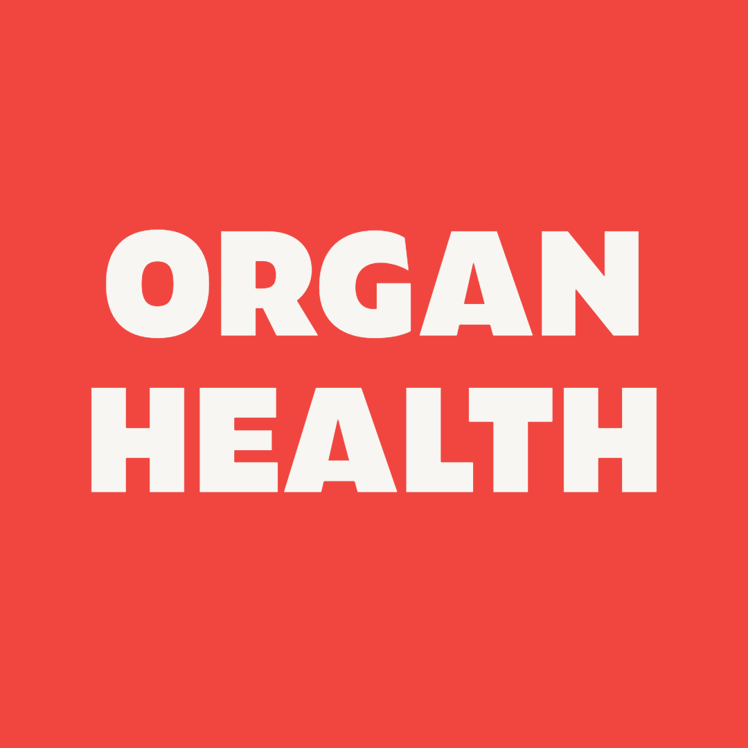 Dog Organ Health