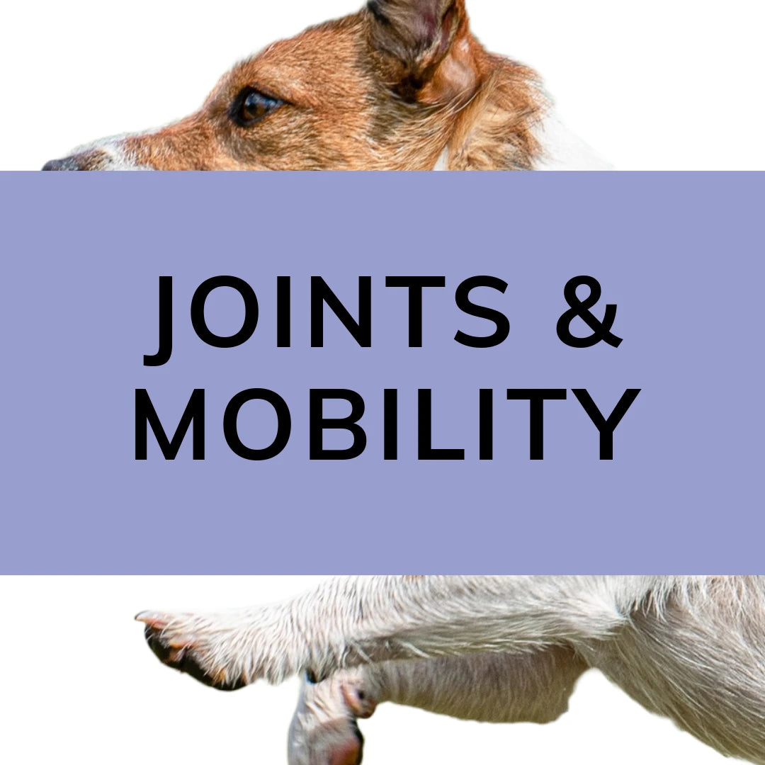 Proflax Bone and Joint Collection - Natural Support for Mobility and ...