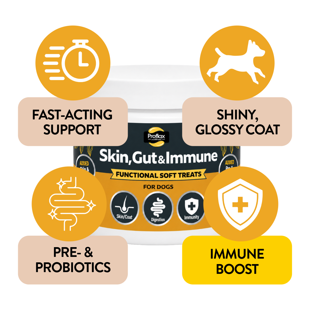 Soft Chews for Functional Support - Skin, Gut & Immune
