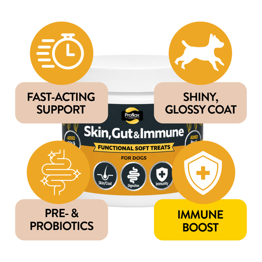 Soft Chews for Functional Support - Skin, Gut & Immune