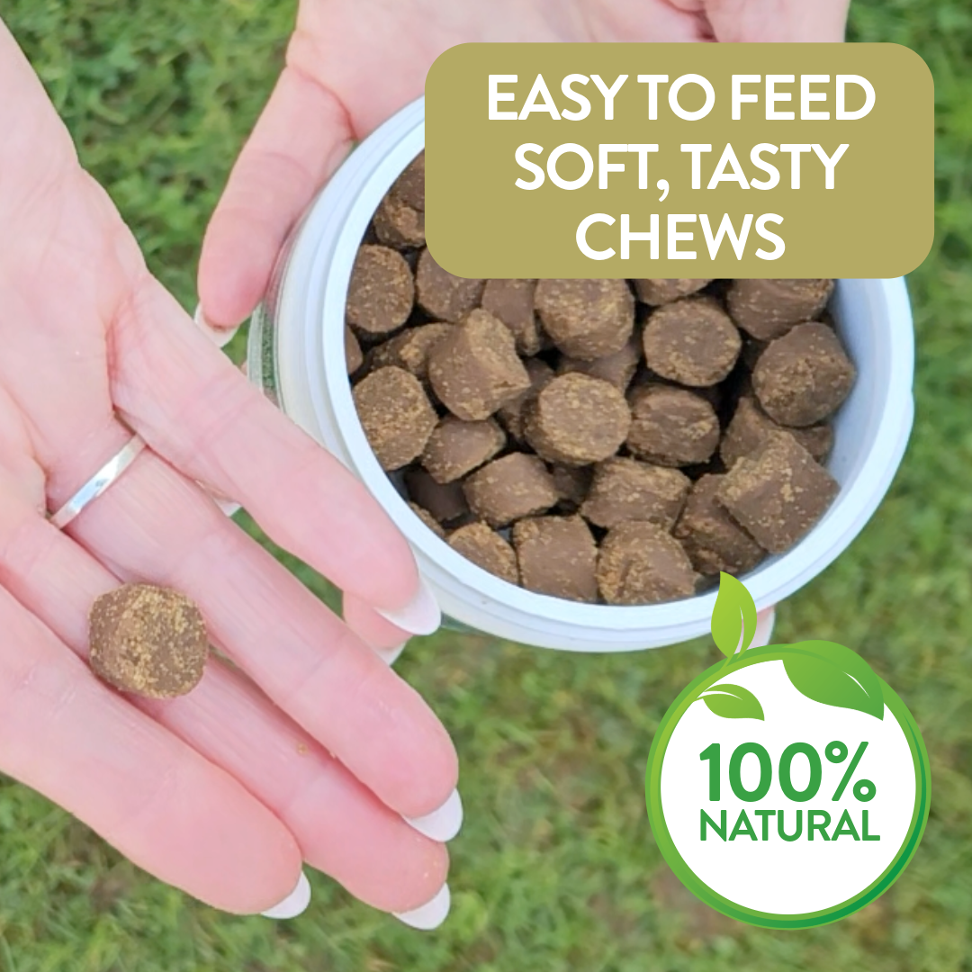 Soft Chews for Functional Support - Puppy