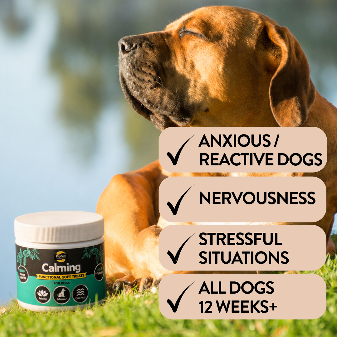 Soft Chews for Functional Support - Calming
