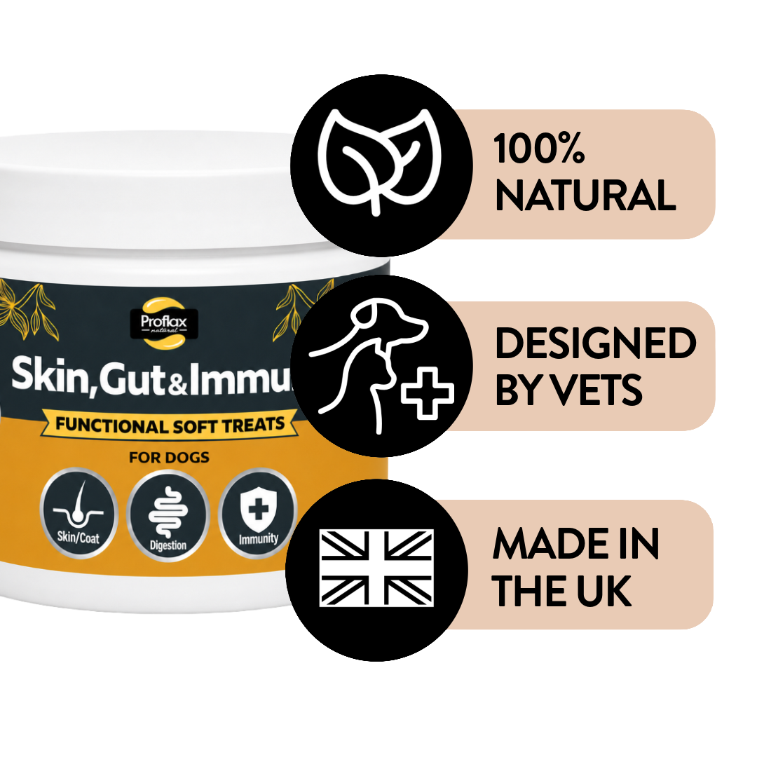 Soft Chews for Functional Support - Skin, Gut & Immune