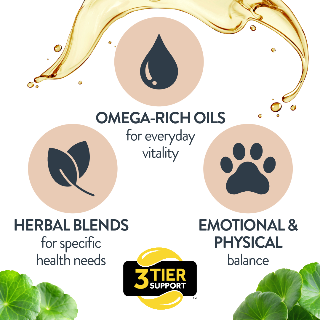 Soft Chews for Functional Support - Skin, Gut & Immune