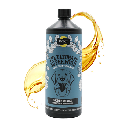 Senior Complete Blend for Dogs - Golden Oldies