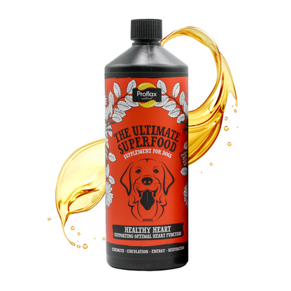 Heart & Circulation Support for Dogs - Healthy Heart - Proflax