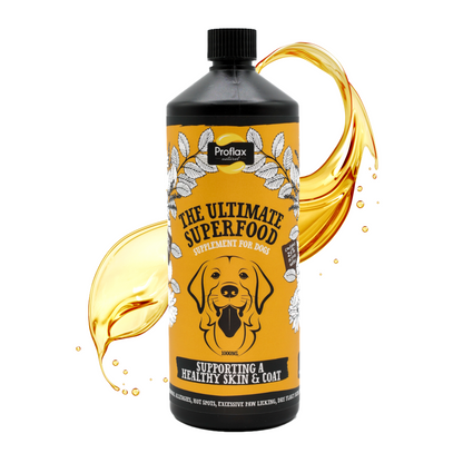 Skin & Coat Support for Dogs