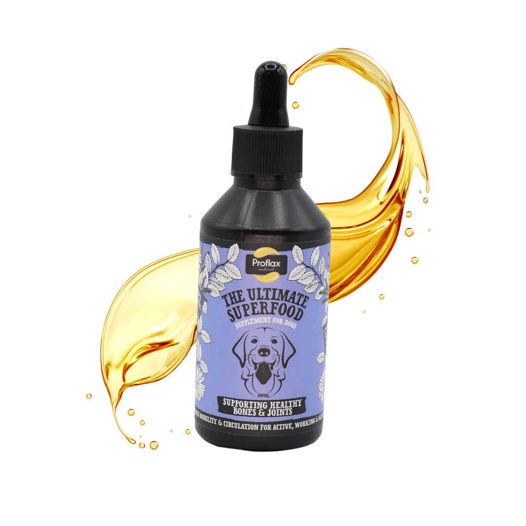 Bone, Joint & Mobility Support for Dogs