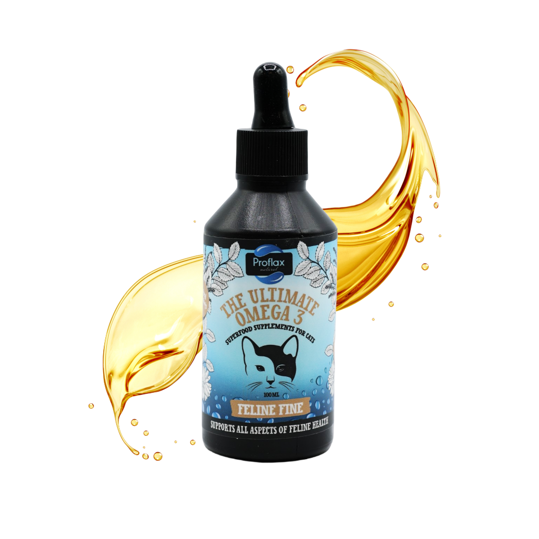 Salmon Oil Supplement for Cats - Feline Fine