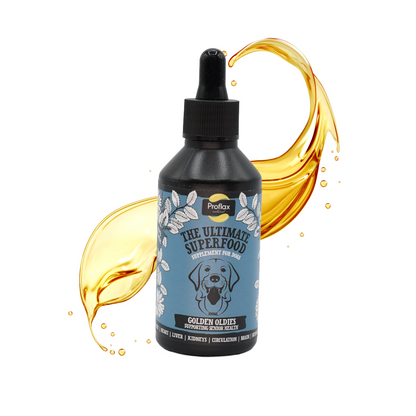 Senior Complete Blend for Dogs - Golden Oldies