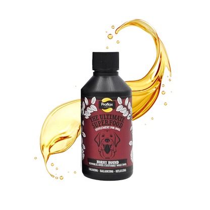 Hormone Balance for Male Dogs - Horny Hound - Proflax