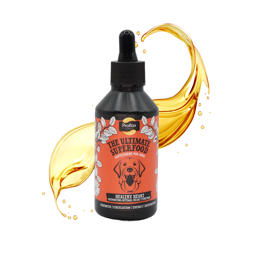 Heart & Circulation Support for Dogs - Healthy Heart - Proflax