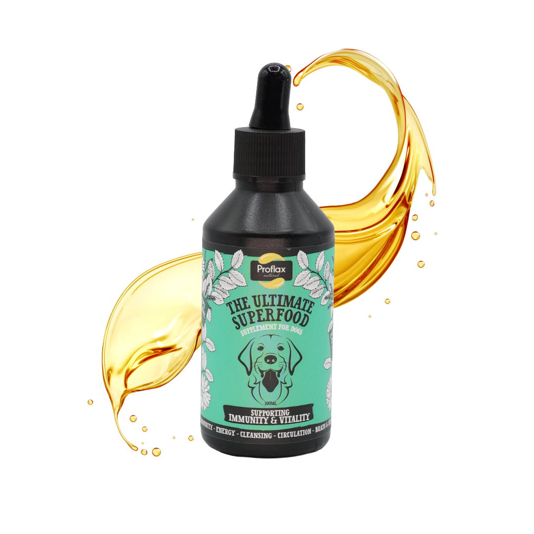 Immune & Energy Support for Dogs - Proflax
