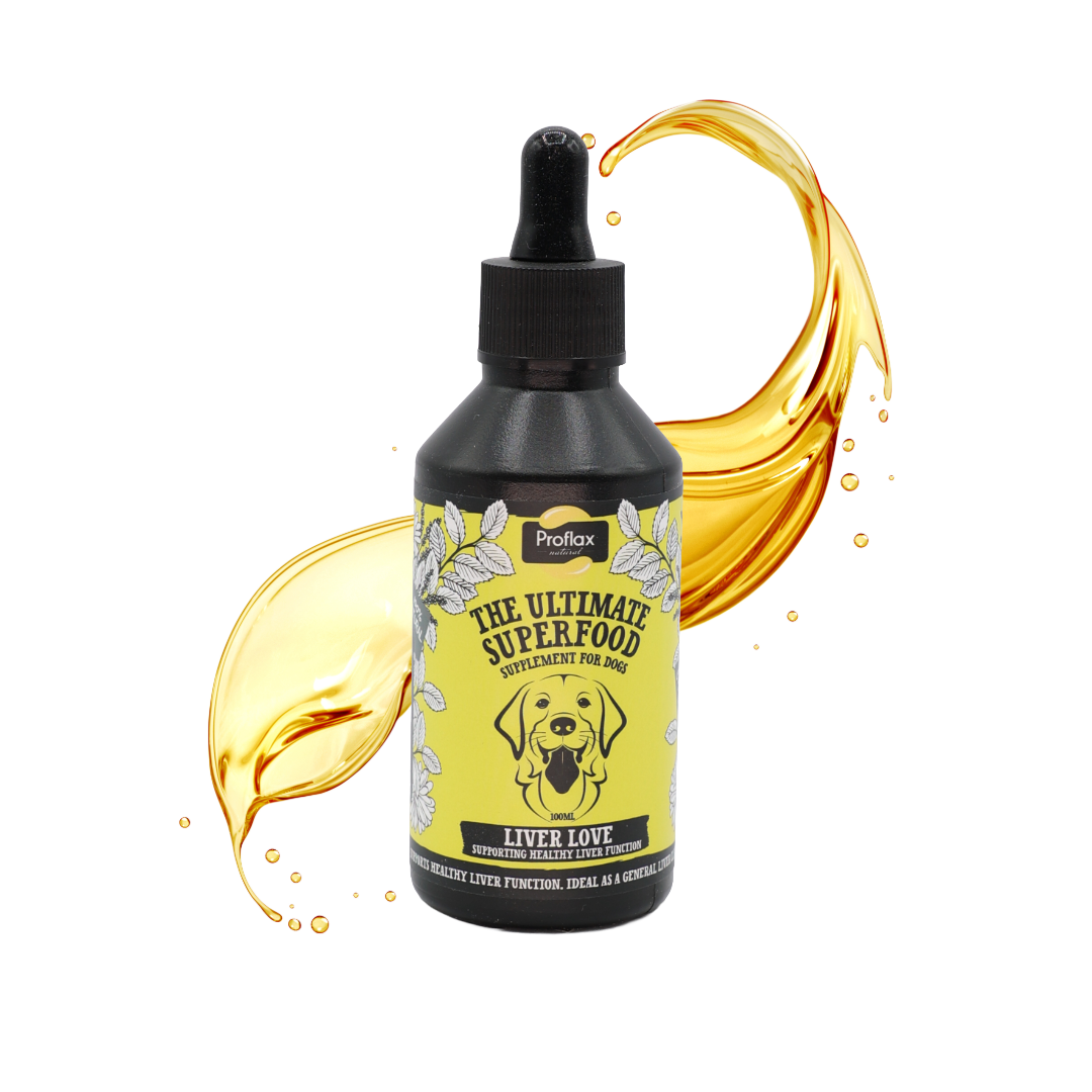 Liver & Cleansing Support for Dogs - Liver Love - Proflax