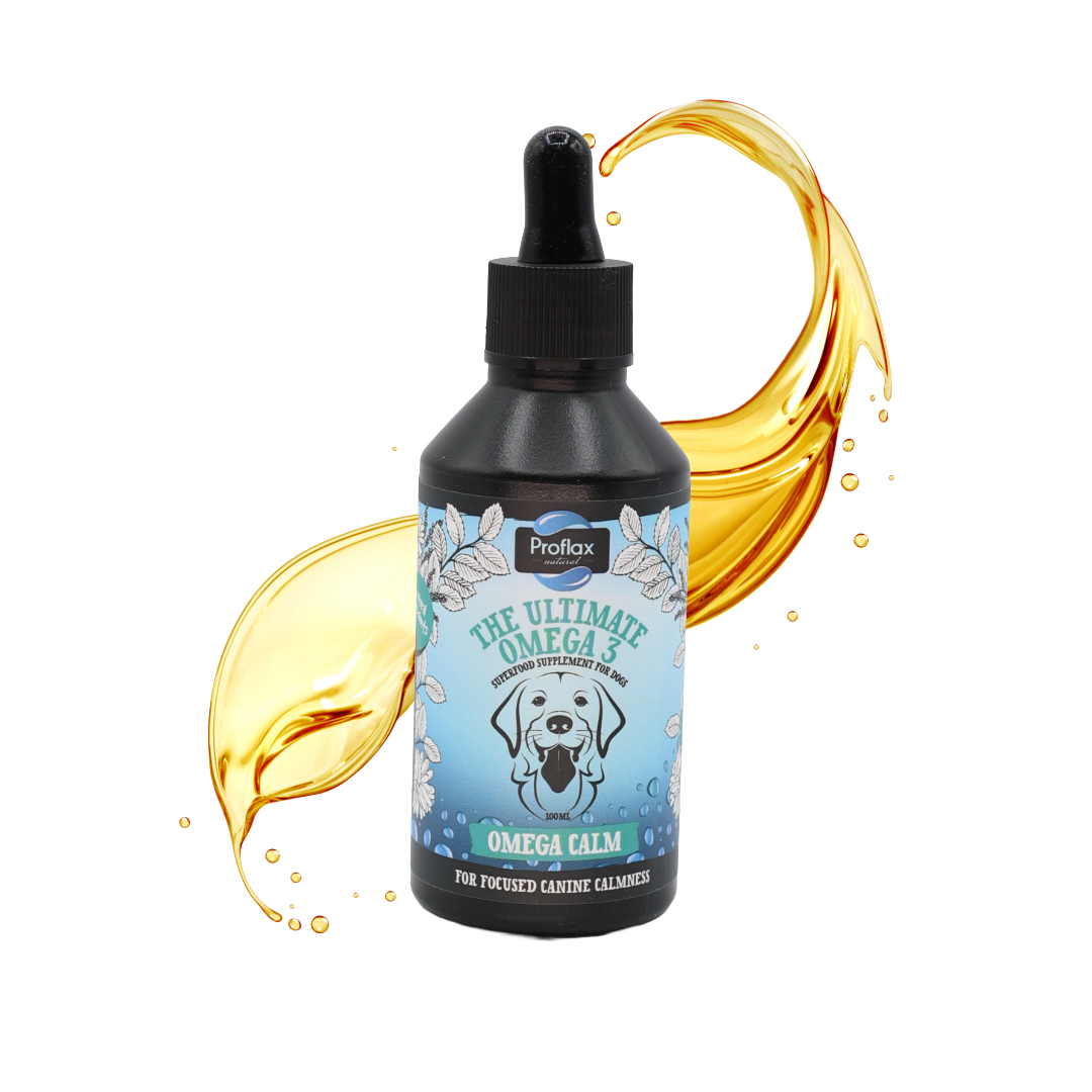 Calming Salmon Oil for Highly Anxious Dogs - Omega Calm