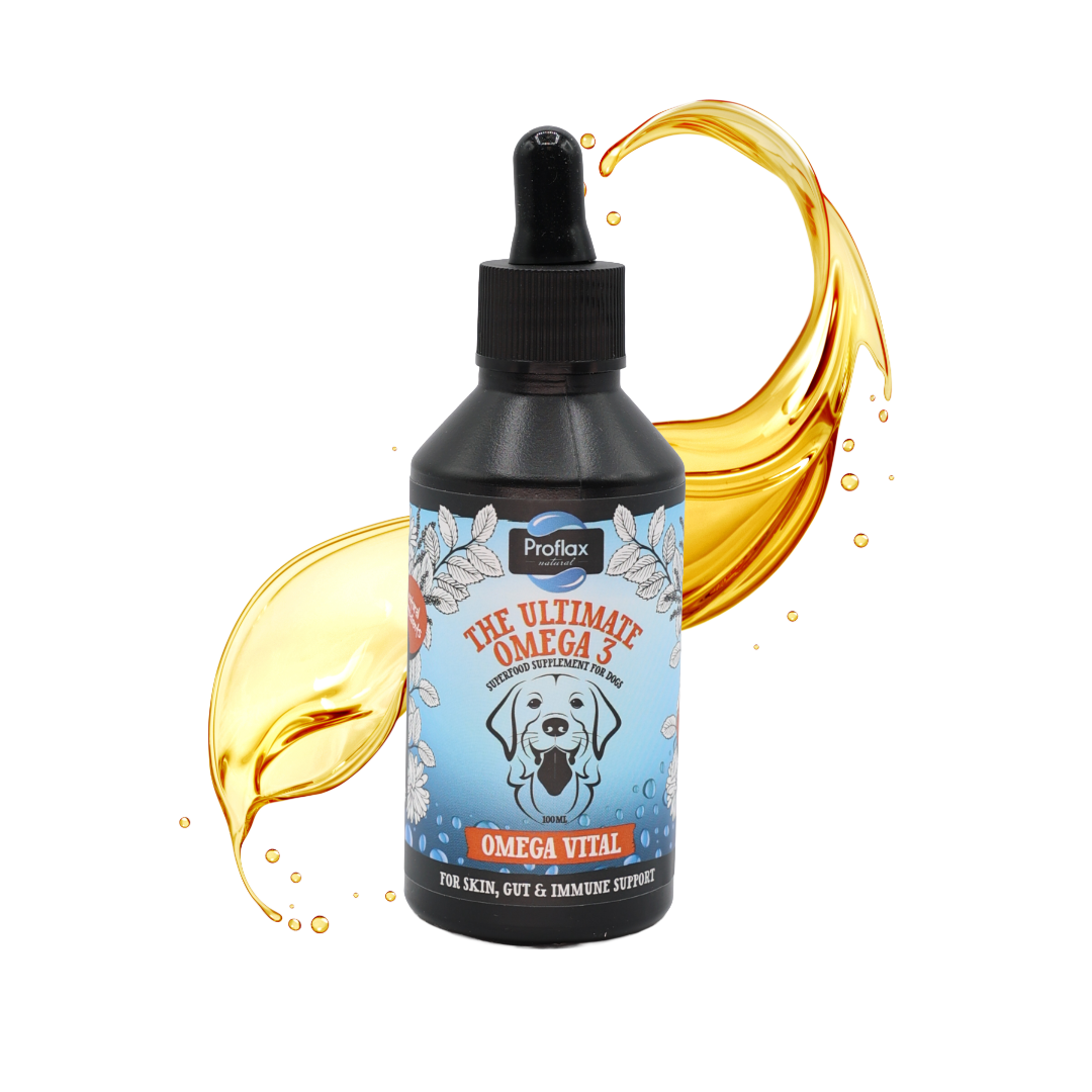 Salmon Oil for Skin & Gut Health - Omega Vital - Proflax