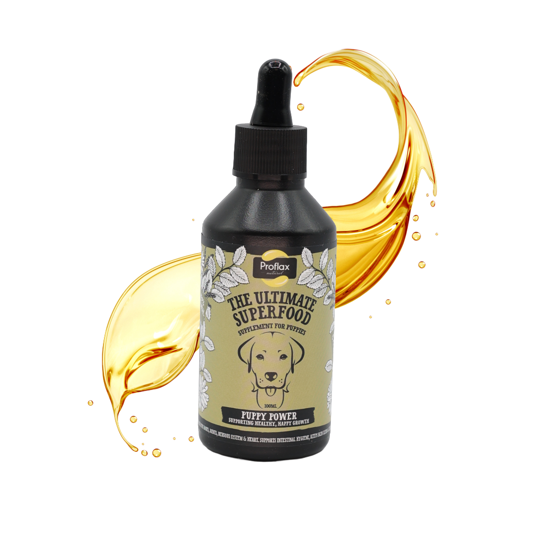 Puppy Digestion & Growth Support - Puppy Power